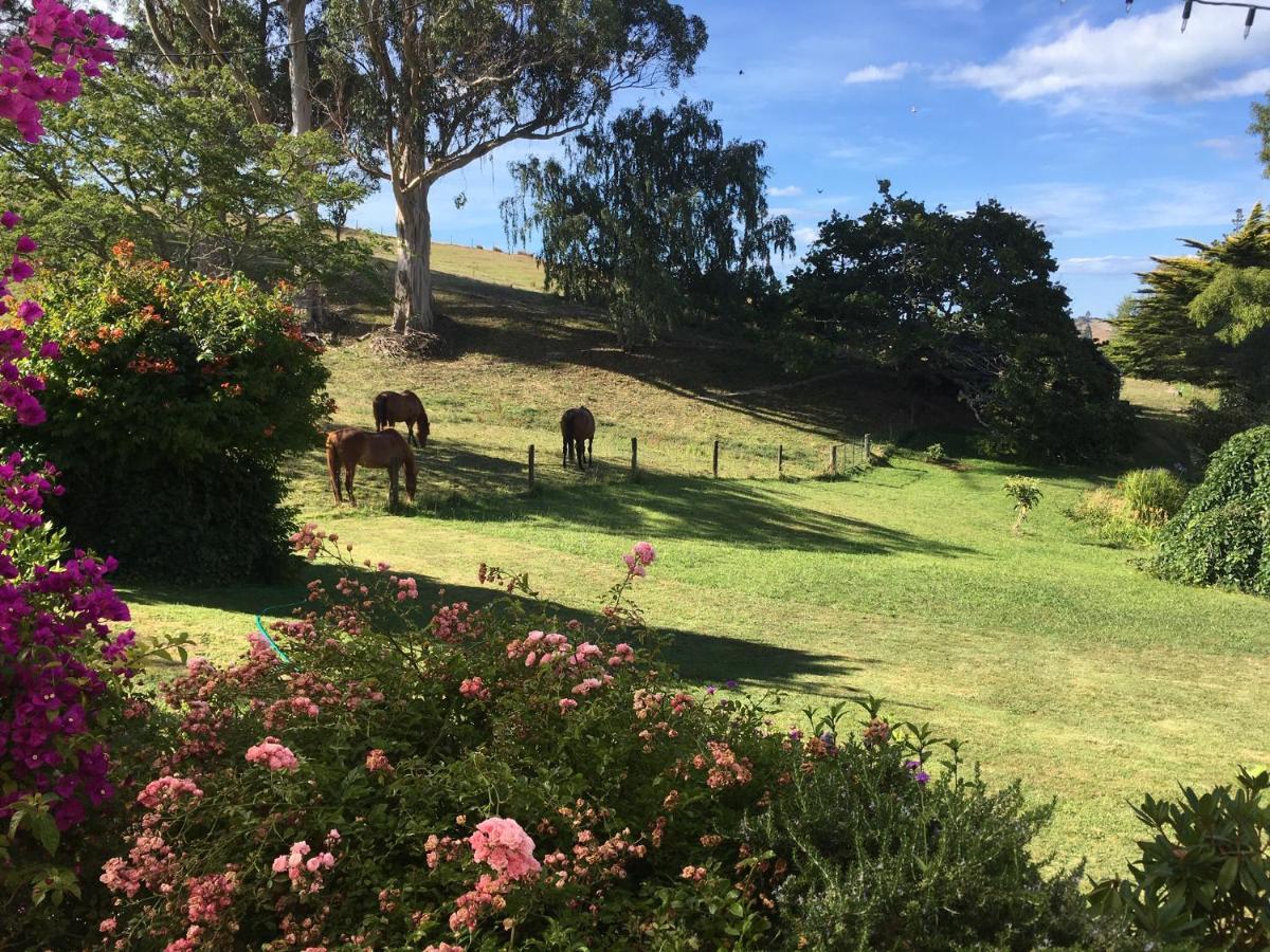 Tasman Farmstay Retreat Glenmhor Экстерьер фото