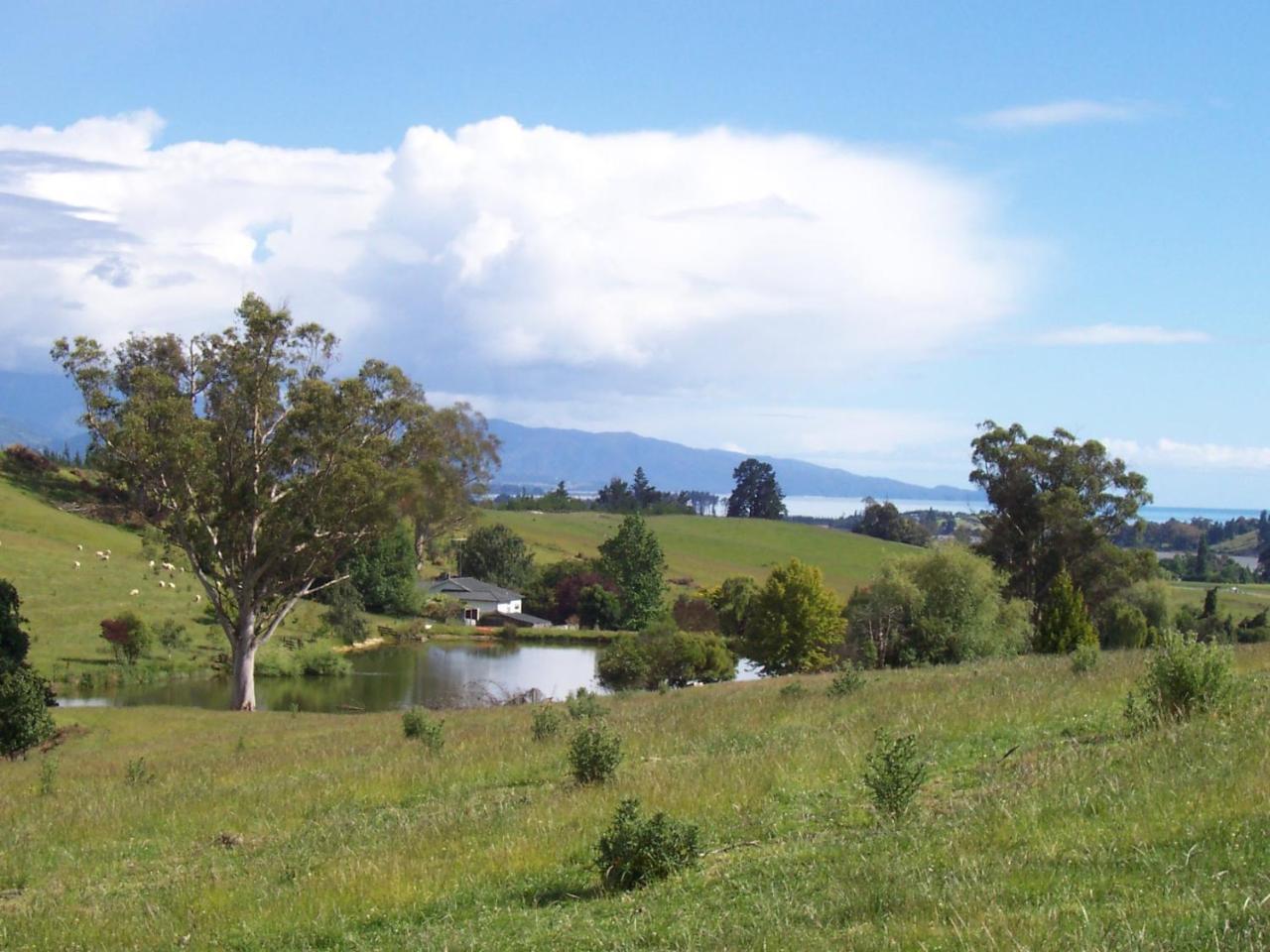 Tasman Farmstay Retreat Glenmhor Экстерьер фото