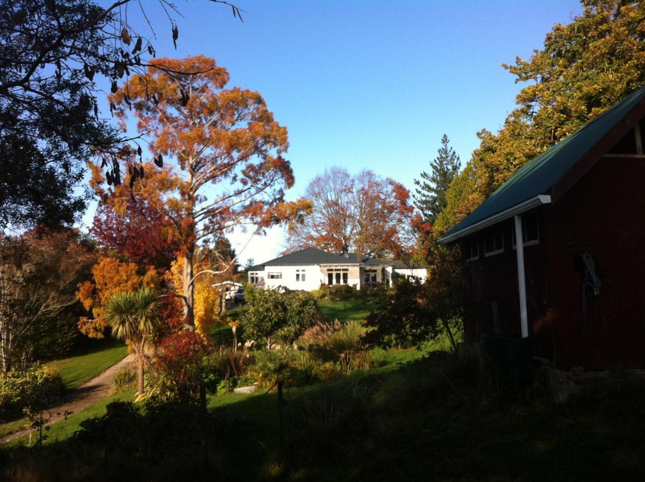 Tasman Farmstay Retreat Glenmhor Экстерьер фото